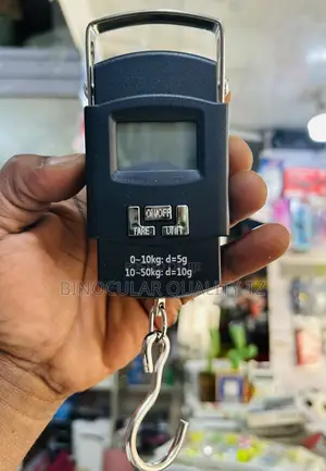 Electric Scale
