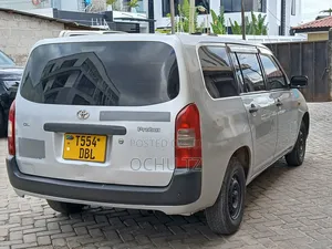 Toyota Probox 2009 Silver