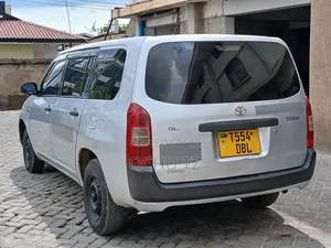 Toyota Probox 2009 Silver