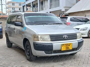Toyota Probox 2009 Silver