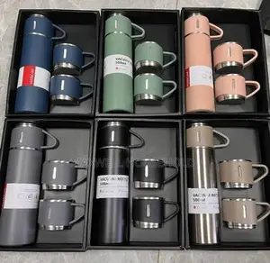 Hot And Cold Vacuum Flask