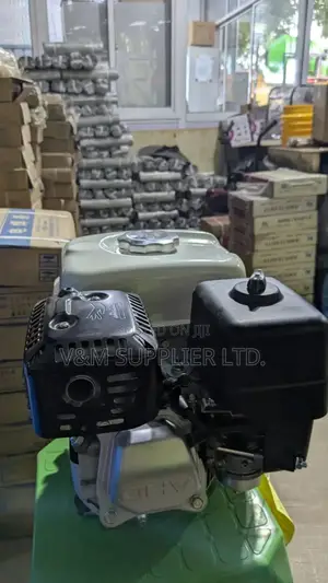 Honda Gx160 Petrol Engine