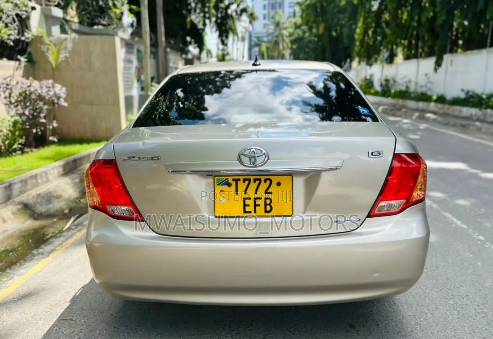 Toyota Axio 2008 Gold