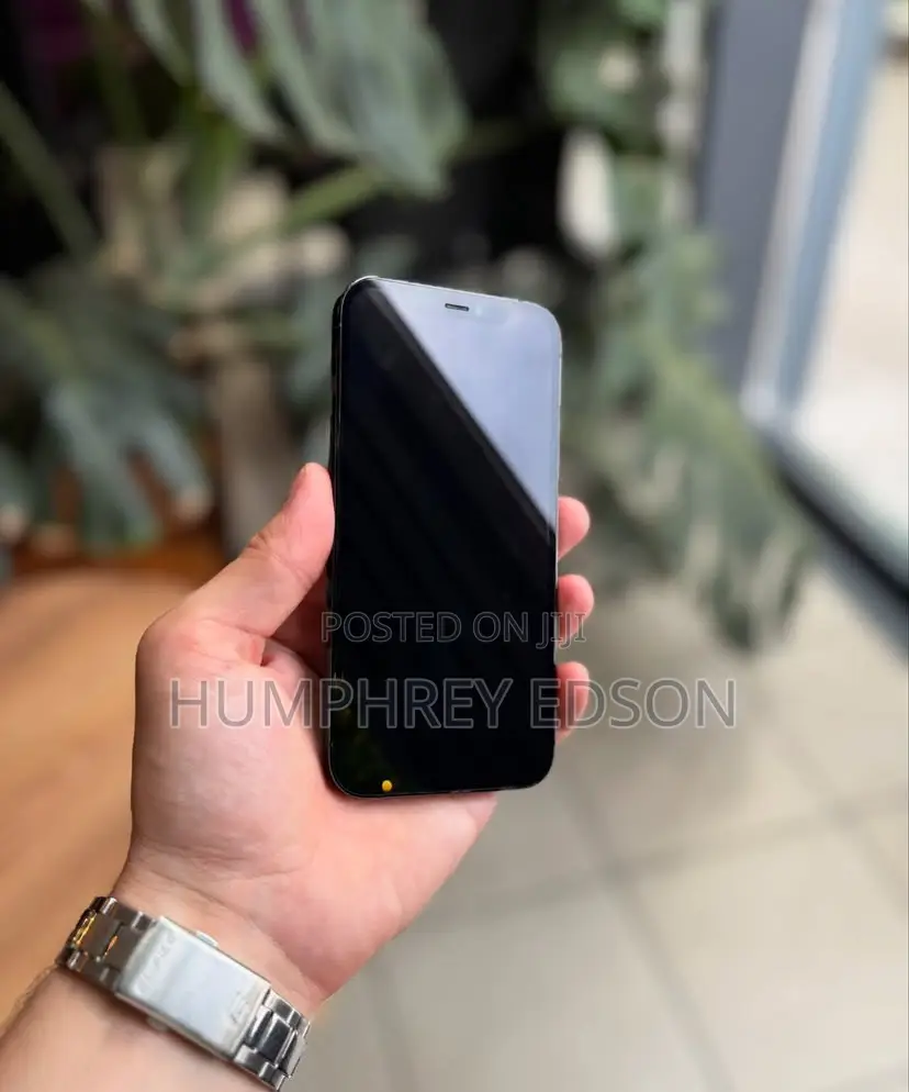 New Apple iPhone 12 Pro Max 128 GB Blue