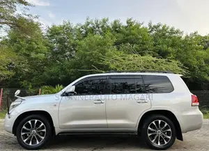 Toyota Land Cruiser 2009 Silver