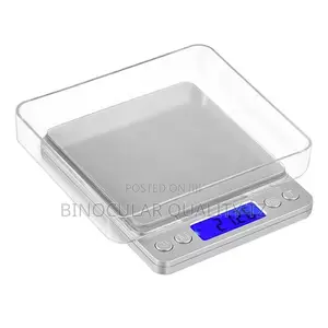 Portable Digital Scale