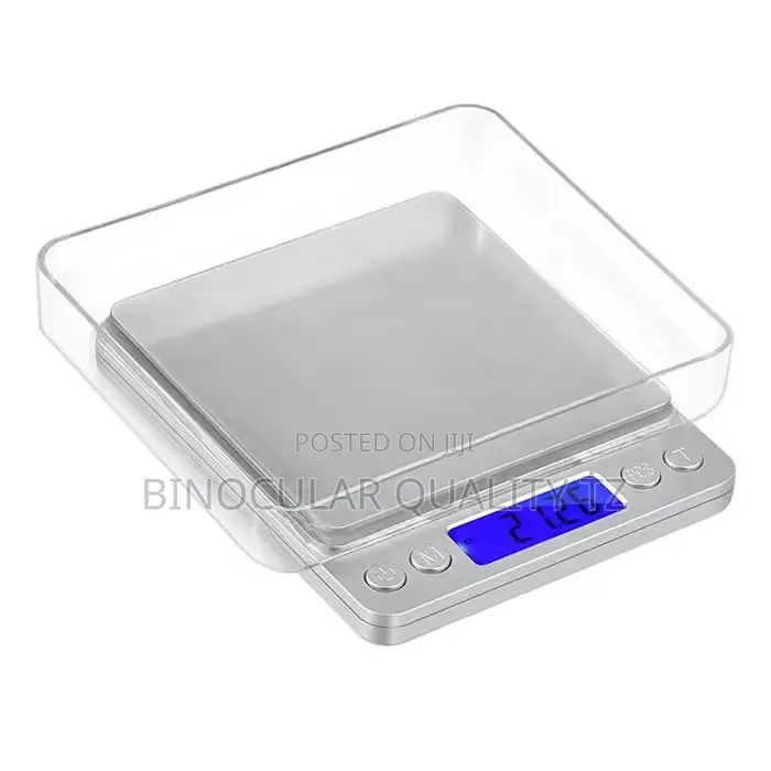Portable Digital Scale