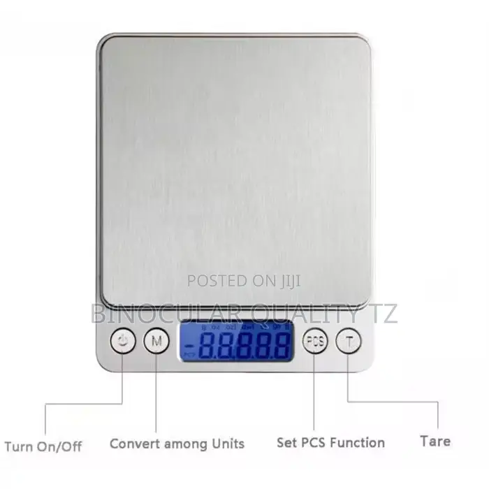 Portable Digital Scale
