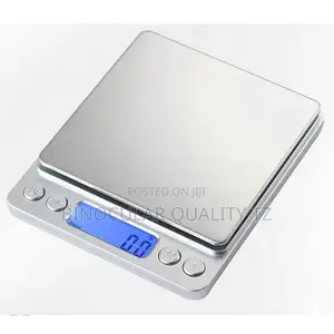 Portable Digital Scale