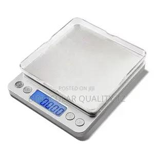 Portable Digital Scale
