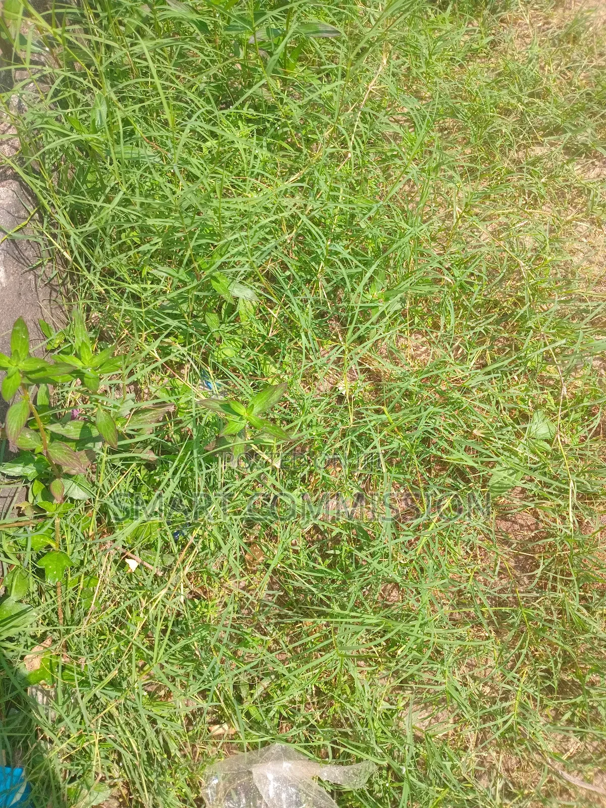 Plot of Land for Sale at Mbezi Luguruni