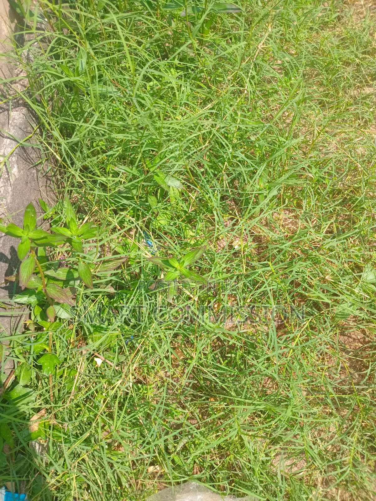 Plot of Land for Sale at Mbezi Luguruni