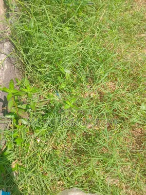 Plot of Land for Sale at Mbezi Luguruni