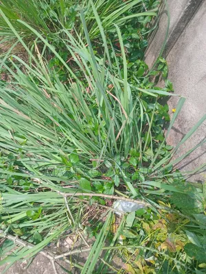 Plot of Land for Sale at Mbezi Luguruni