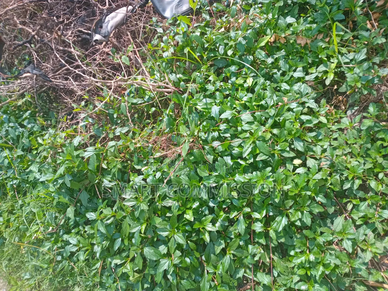 Plot of Land for Sale at Mbezi Luguruni