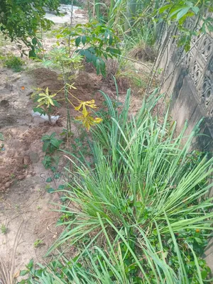 Plot of Land for Sale at Mbezi Luguruni