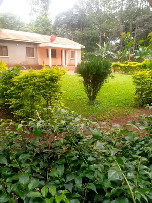 One Acre Plot at Shanty Town