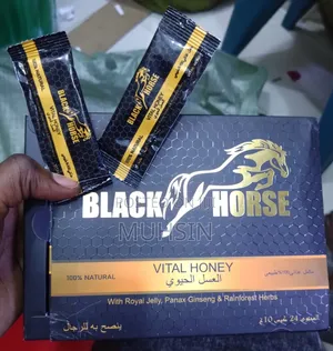 Photo - Black Horse