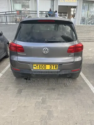 Volkswagen Tiguan 2014 Gray