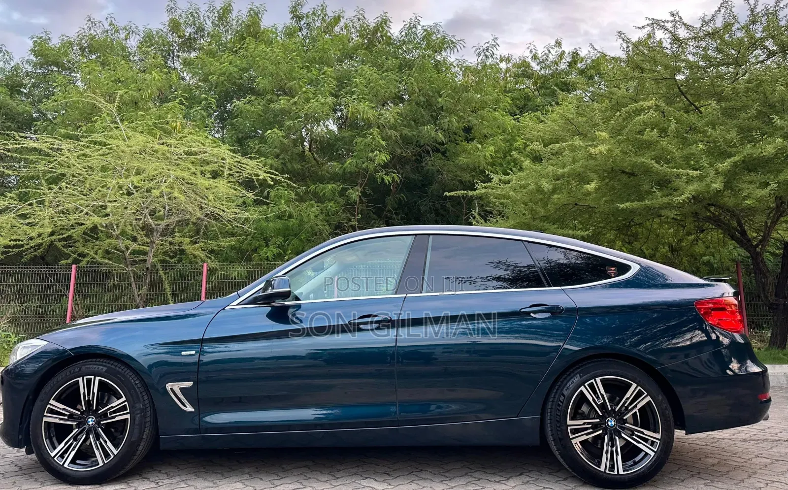 BMW 3 Series 2013 Blue
