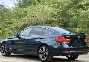 BMW 3 Series 2013 Blue