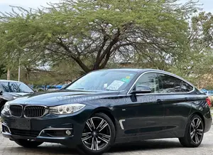 BMW 3 Series 2013 Blue