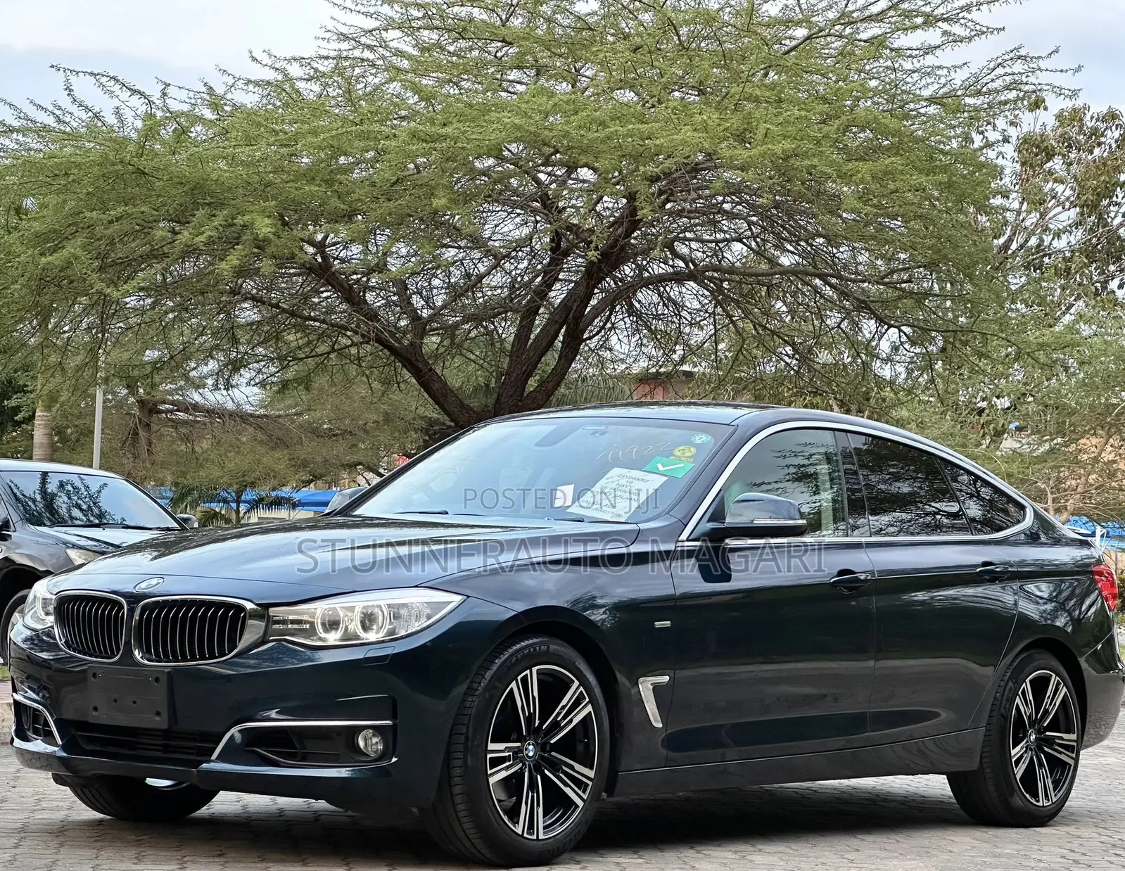 BMW 3 Series 2013 Blue