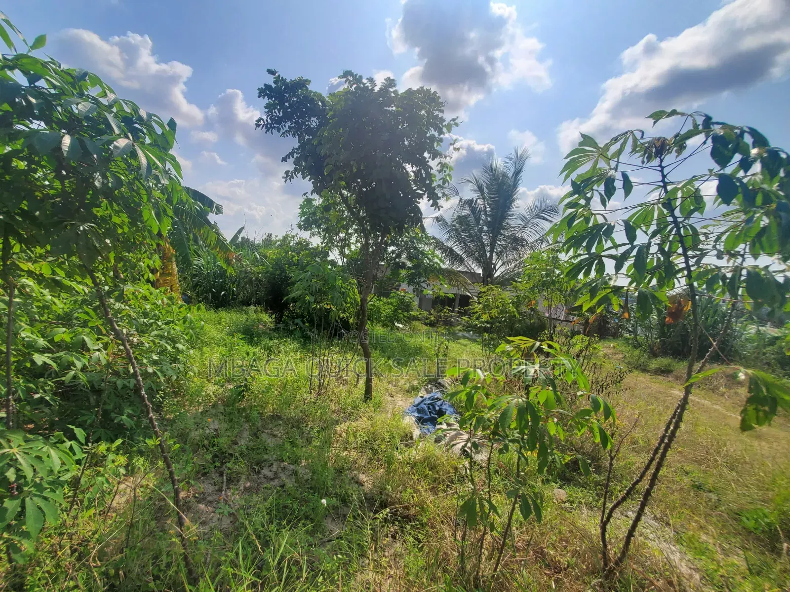 Plot for Sale at Madale Police