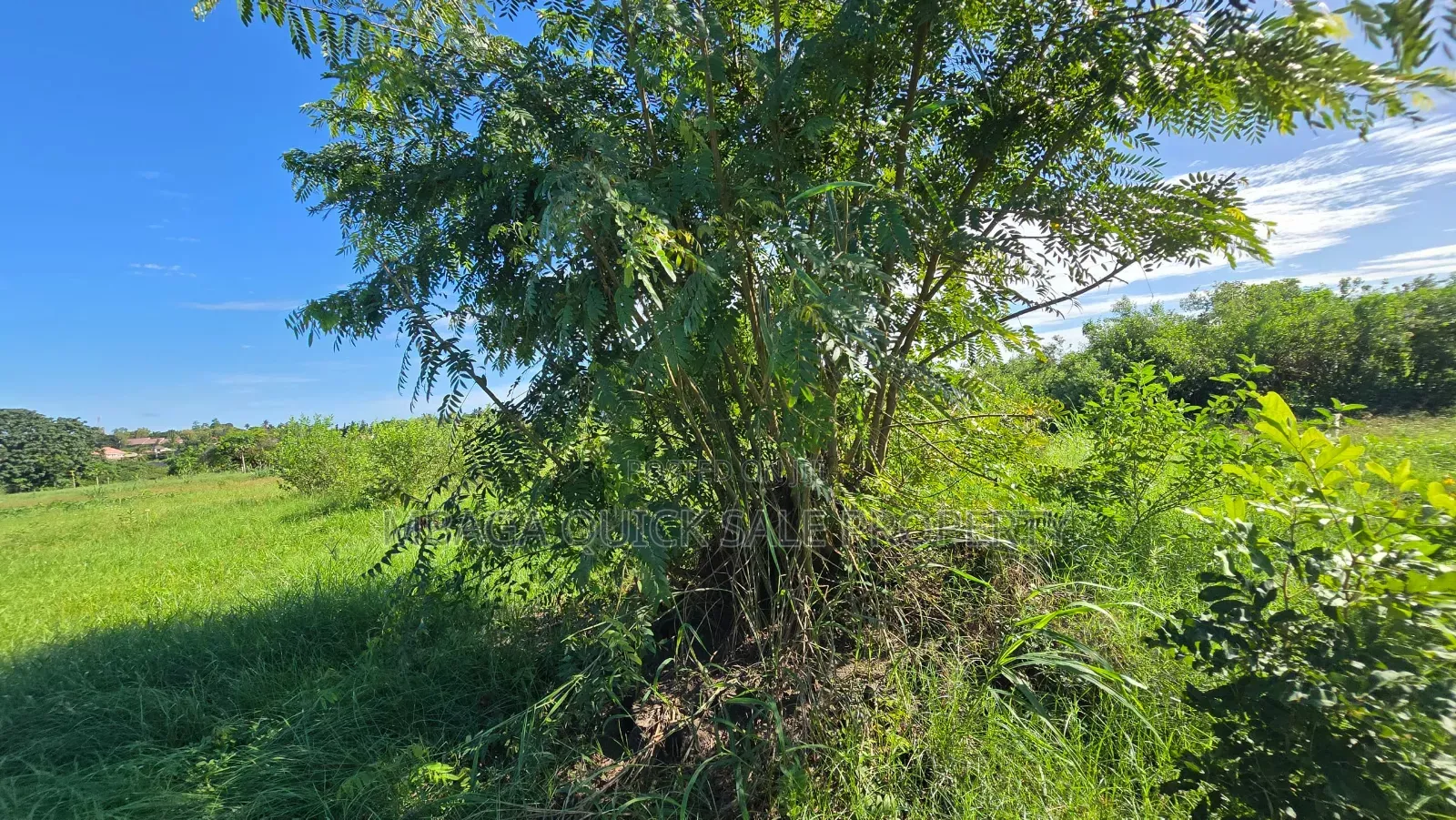 Plot for Sale at Bagamoyo Kilomo