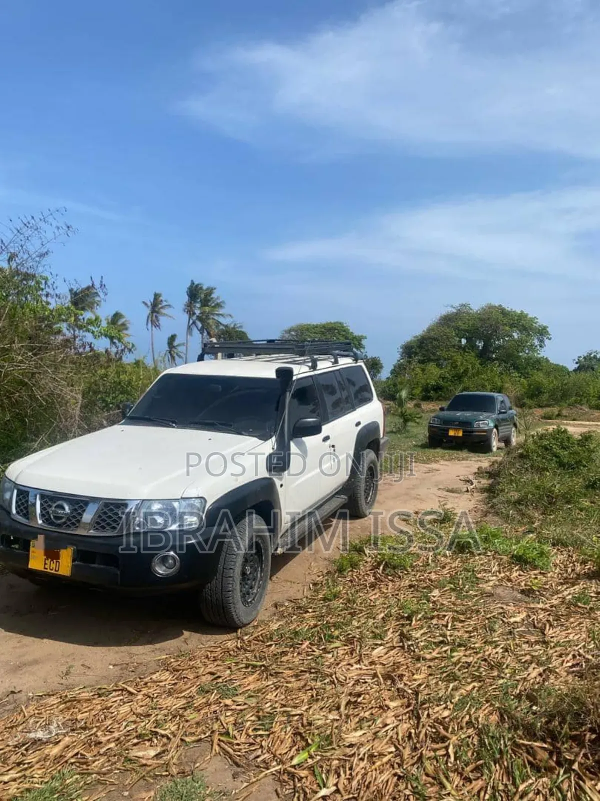 Nissan Patrol 2006 Pearl