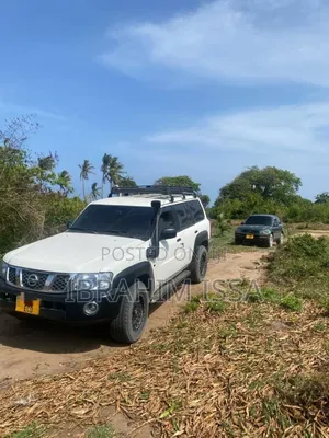 Nissan Patrol 2006 Pearl