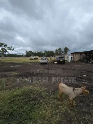 Plot for Sale at Arusha Mjini ( Tanapa )
