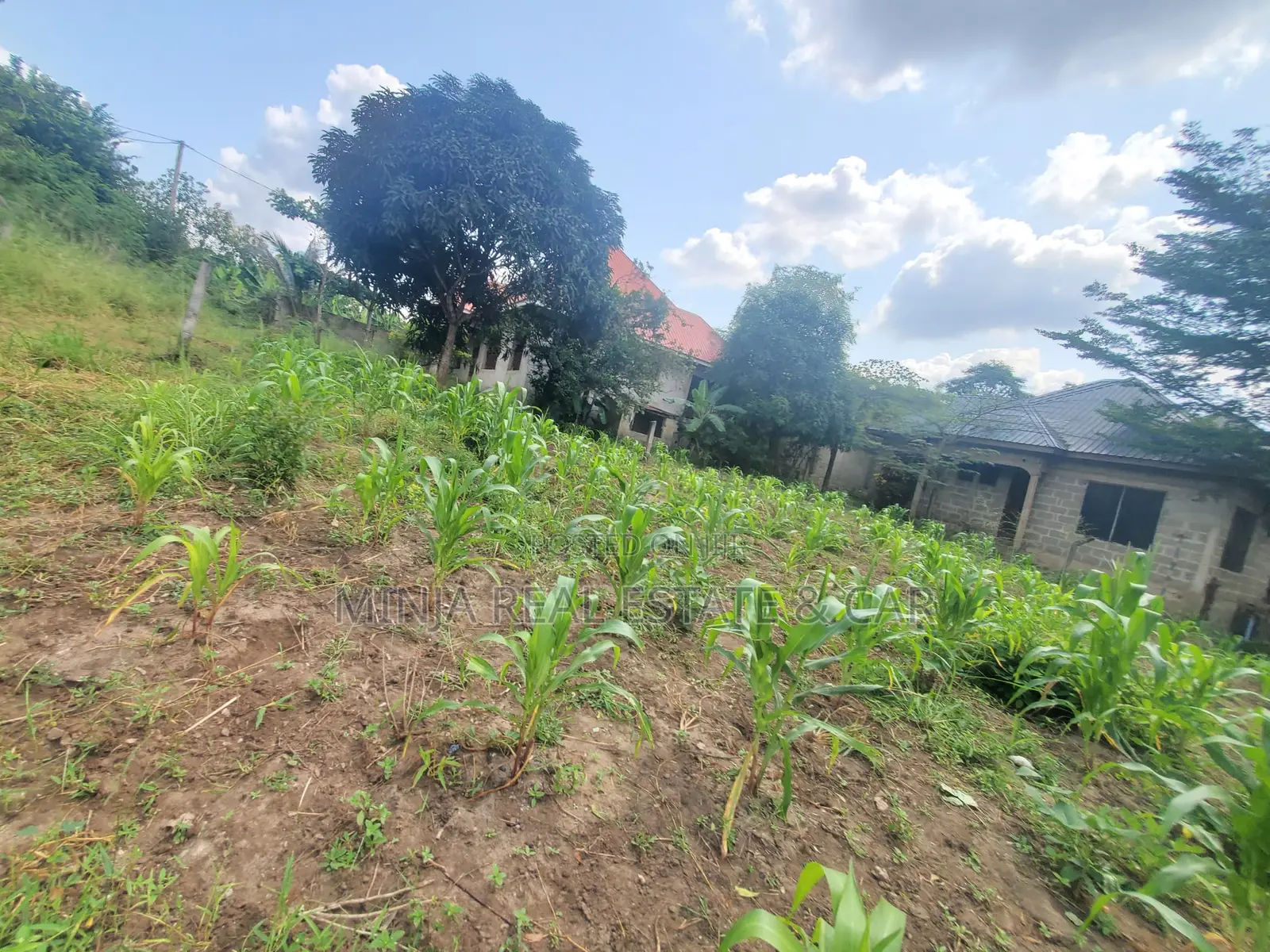 3bdrm House in Goba for sale