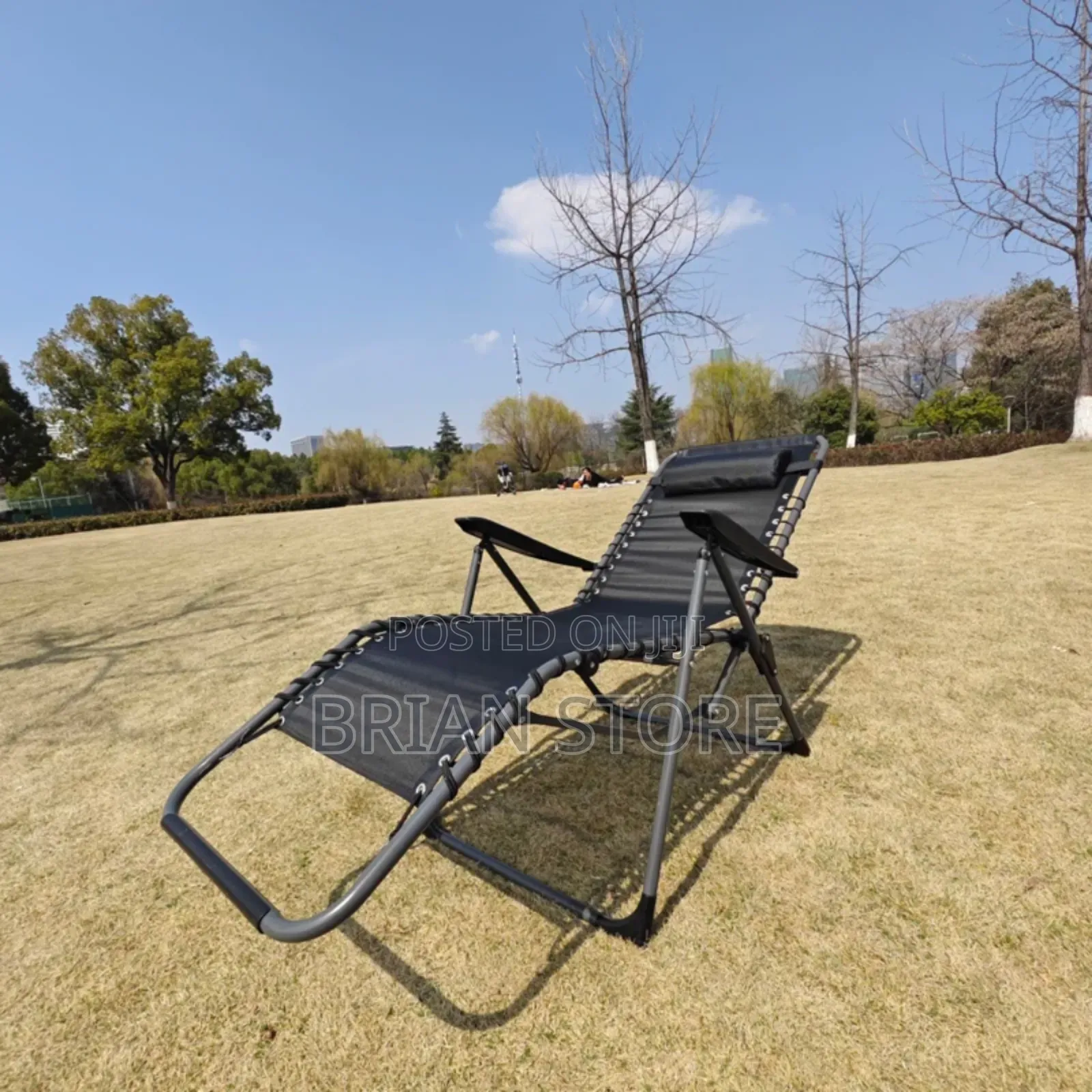 Lounge Chair