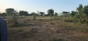 Commercial Plot Ekari 13 Imegusa Lami Inauzwa Morogoro