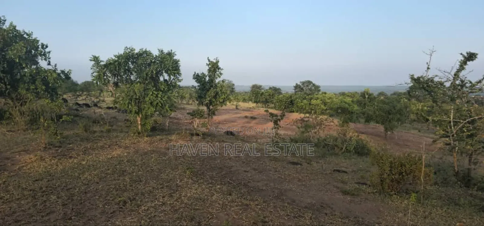 Commercial Plot Ekari 13 Imegusa Lami Inauzwa Morogoro