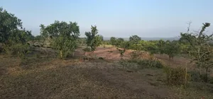 Commercial Plot Ekari 13 Imegusa Lami Inauzwa Morogoro