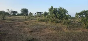 Commercial Plot Ekari 13 Imegusa Lami Inauzwa Morogoro