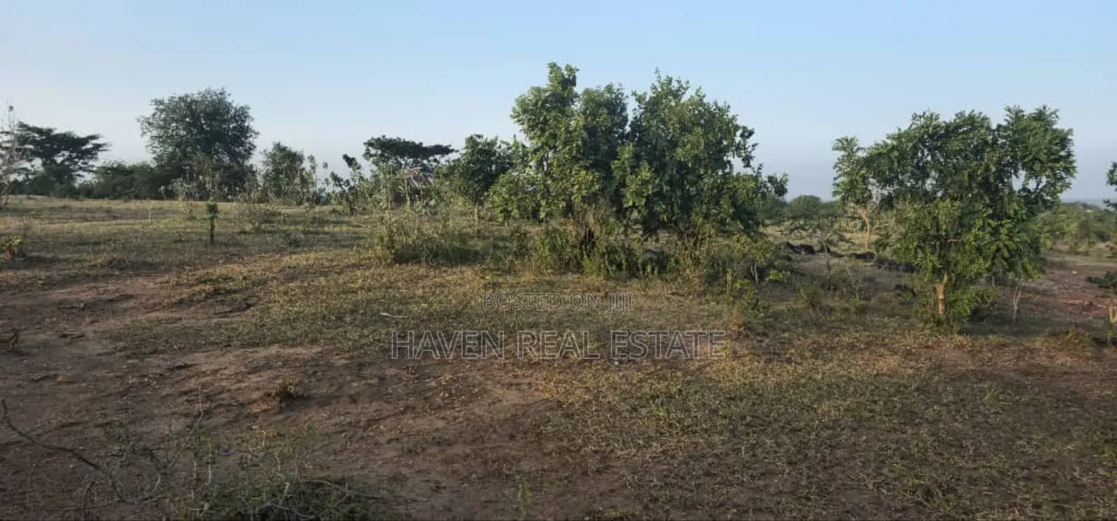 Commercial Plot Ekari 13 Imegusa Lami Inauzwa Morogoro