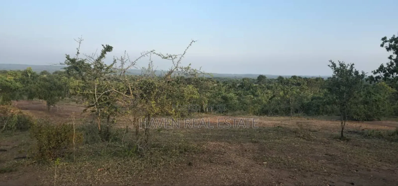 Commercial Plot Ekari 13 Imegusa Lami Inauzwa Morogoro