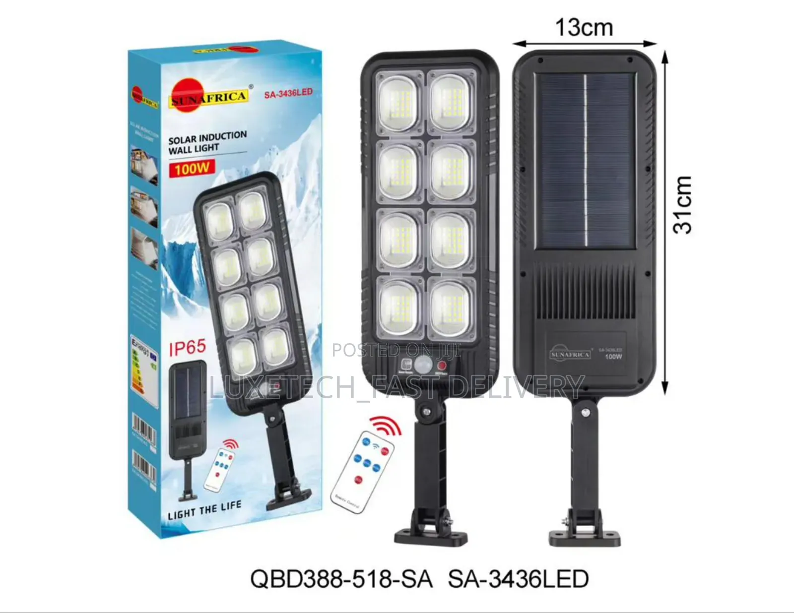 Solar Induction Wall Light 100w
