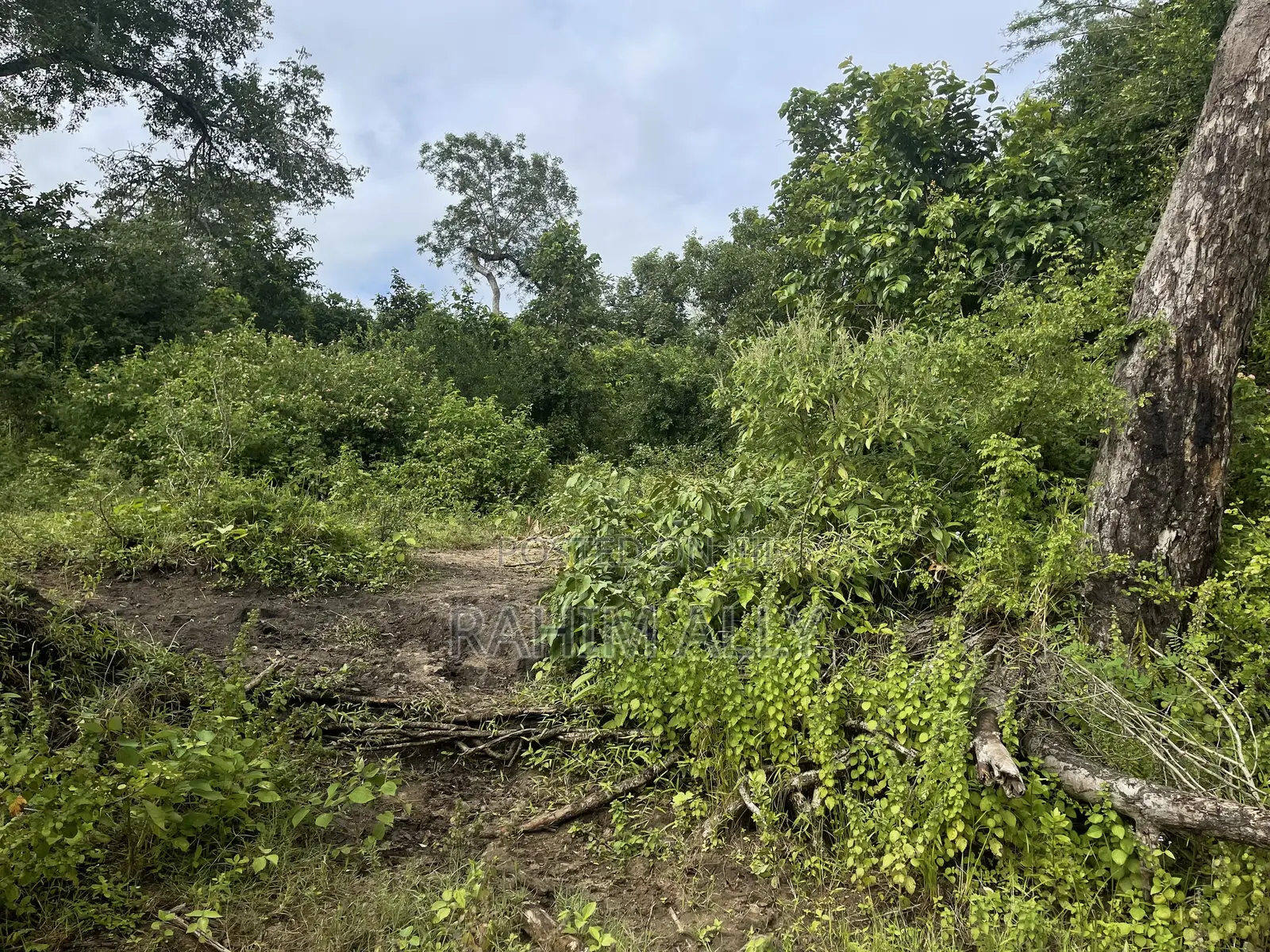 Land for Sale Kiwangwa