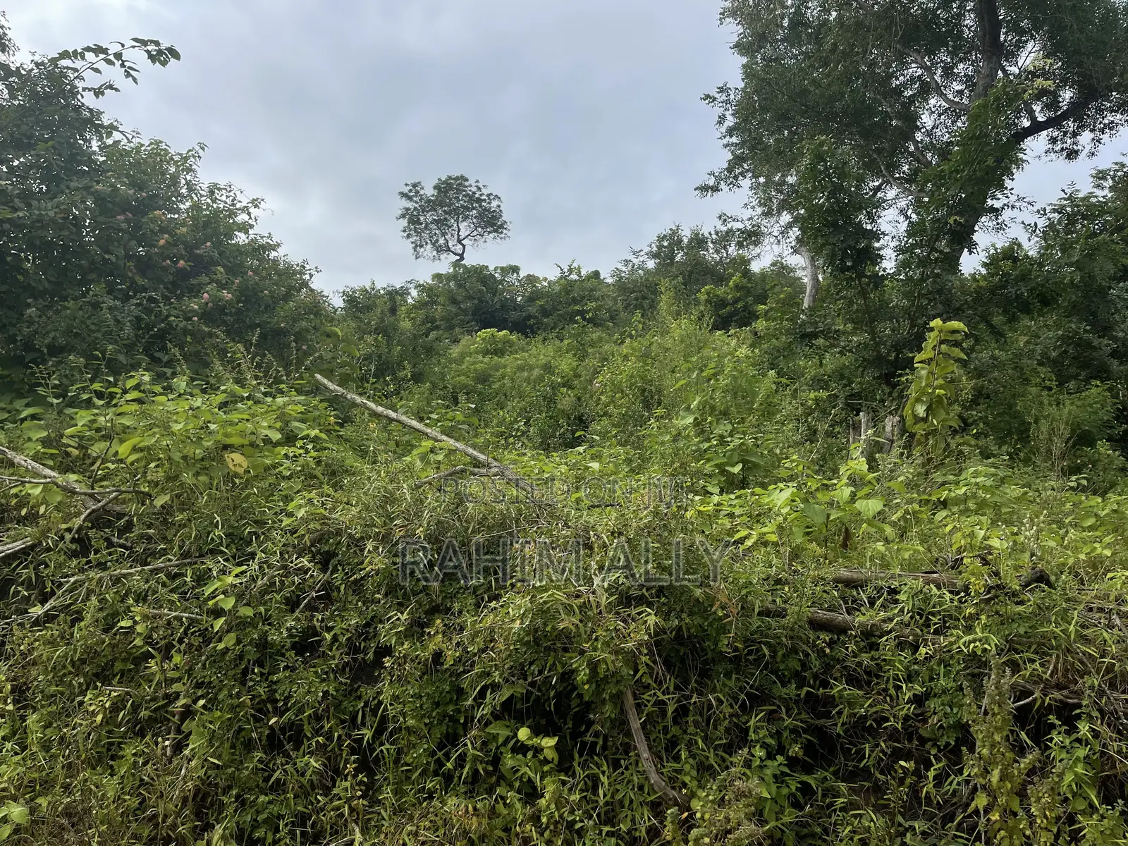 Land for Sale Kiwangwa