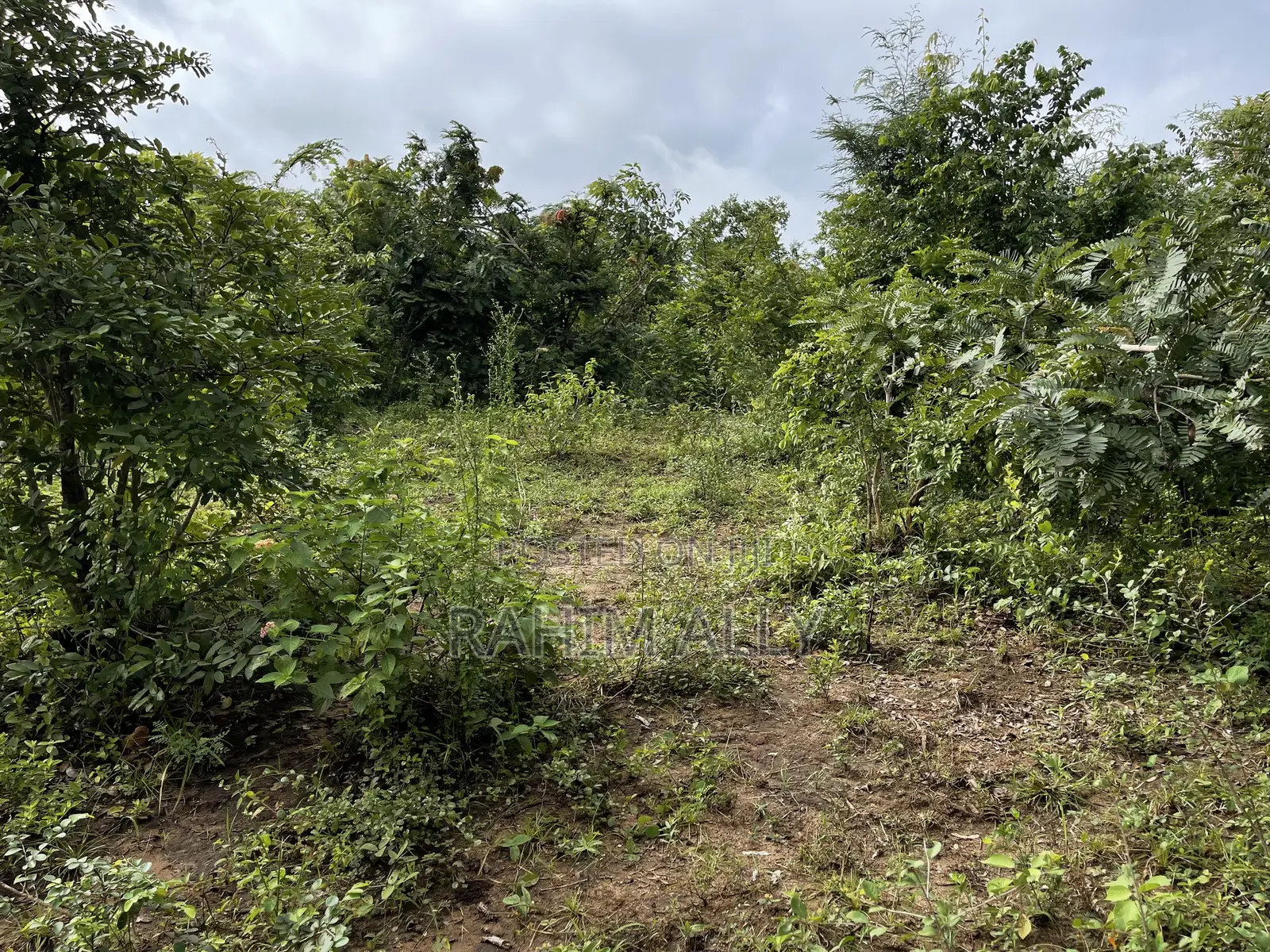 Land for Sale Kiwangwa