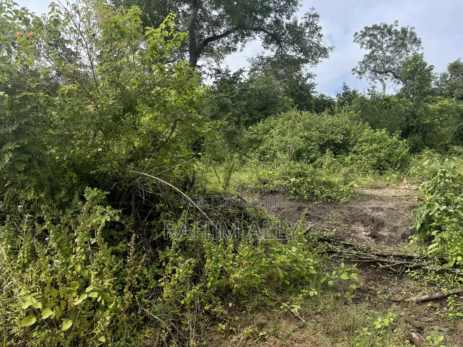 Land for Sale Kiwangwa
