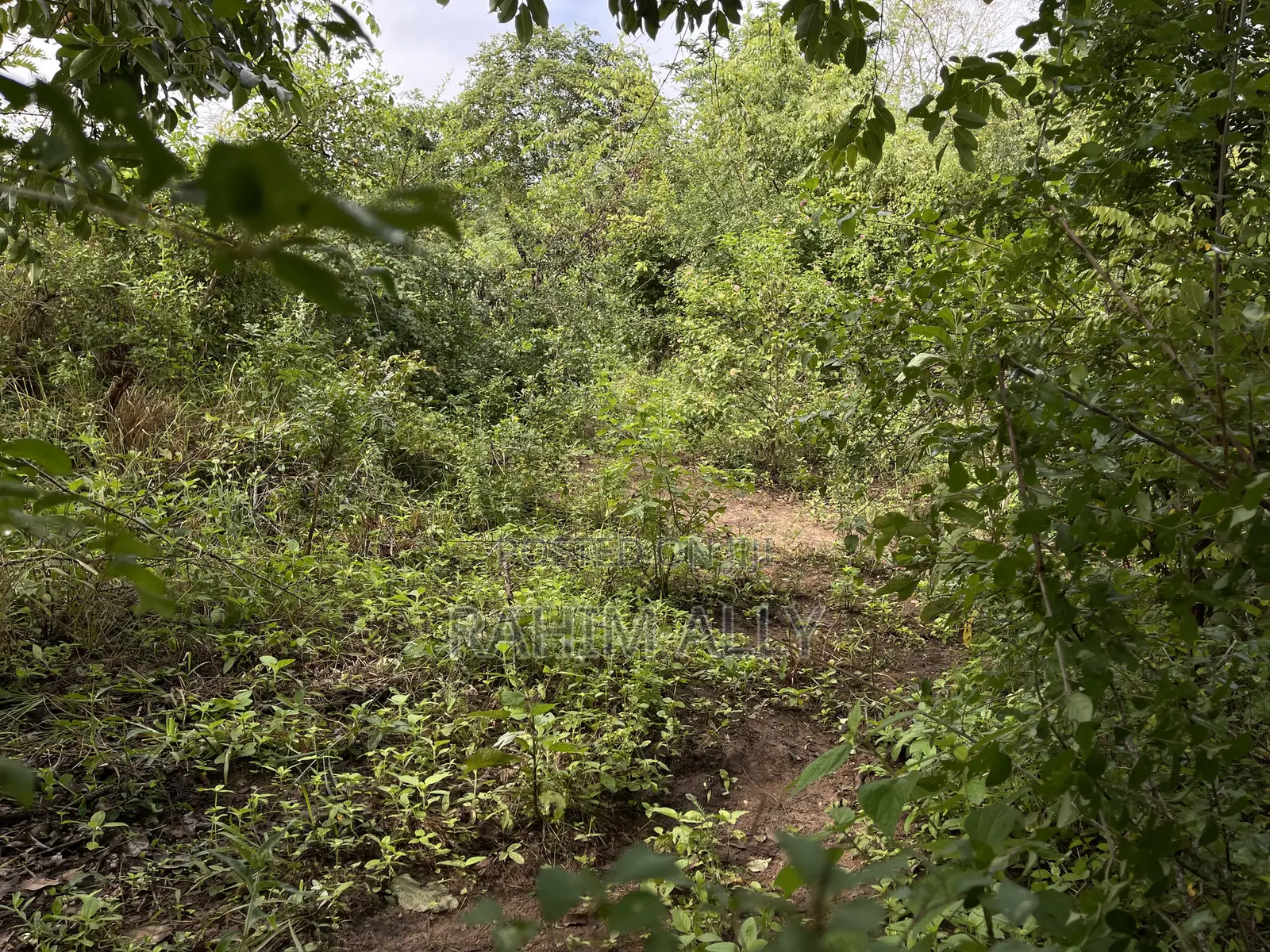 Land for Sale Kiwangwa