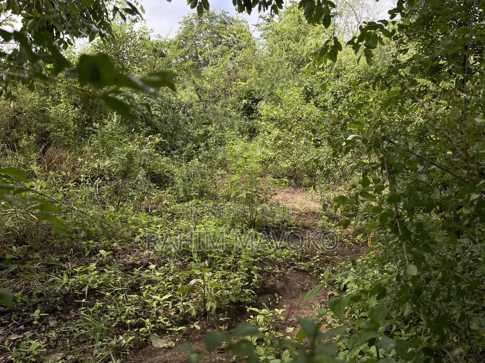 Land for Sale Kiwangwa