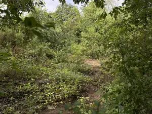 Land for Sale Kiwangwa
