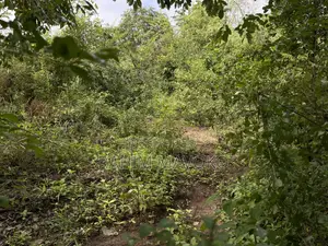 Land for Sale Kiwangwa