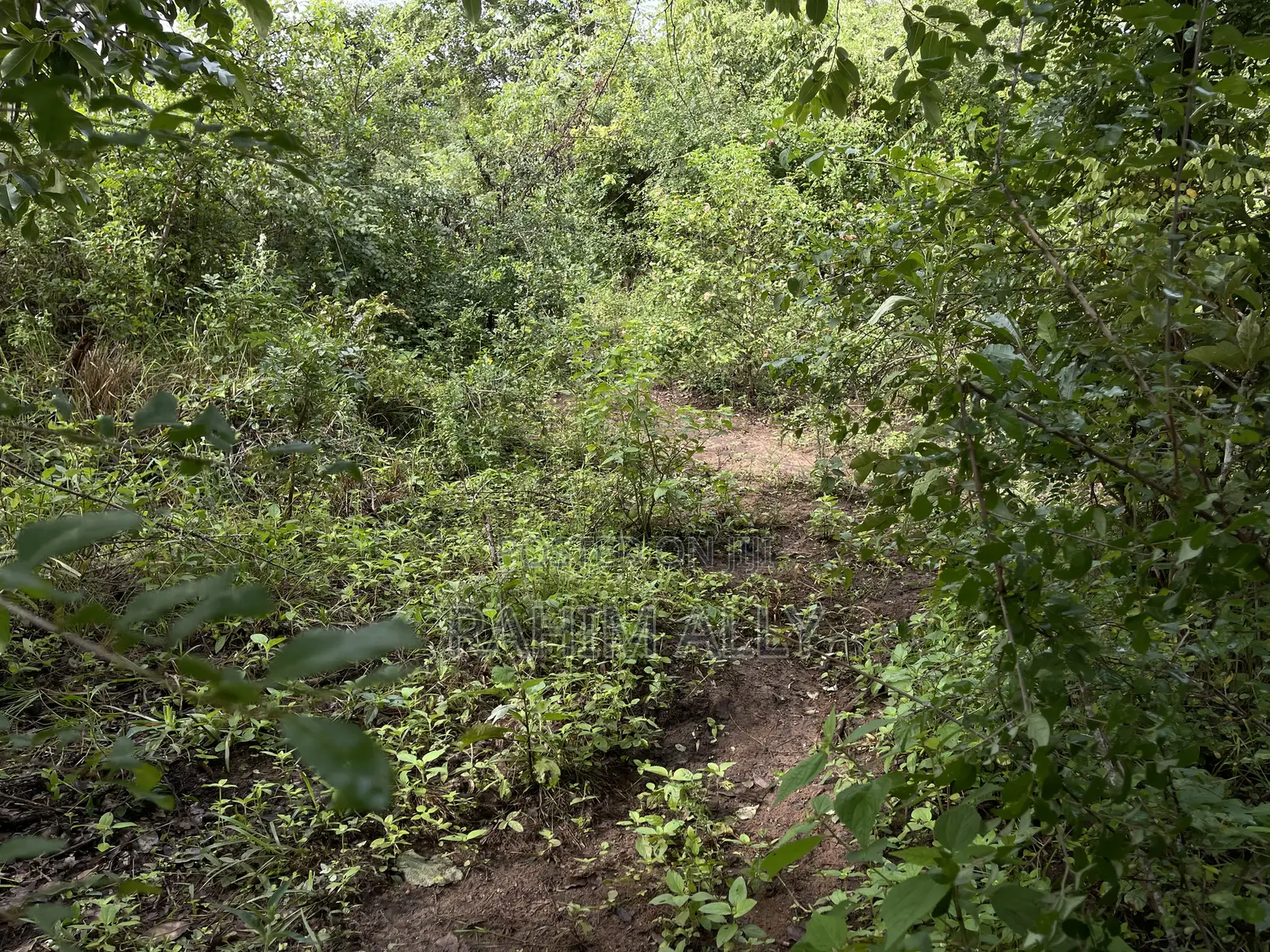 Land for Sale Kiwangwa